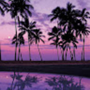 Meet your Posher, Destiny